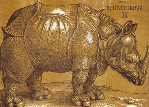 Il rinoceronte da Albrecht Dürer