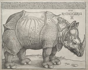 Il Rinoceronte, 1515