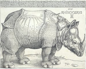 Il rinoceronte, 1515 da Albrecht Dürer