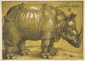 Il rinoceronte, dopo il 1620 da Albrecht Dürer