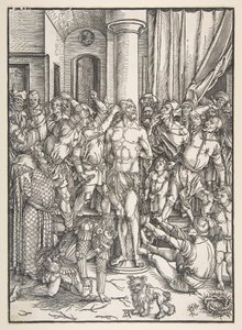  da Albrecht Dürer