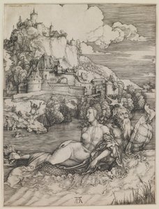  da Albrecht Dürer