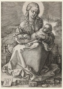 La Vergine e il Bambino in fasce da Albrecht Dürer