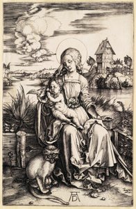  da Albrecht Dürer