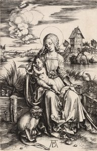 La Vergine e il Bambino con la scimmia da Albrecht Dürer