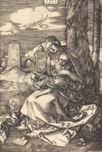 La Vergine e il Bambino con la pera, 1511 da Albrecht Dürer