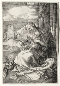 La Vergine e il Bambino con la pera, 1511 da Albrecht Dürer