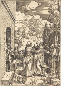  da Albrecht Dürer