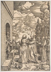  da Albrecht Dürer