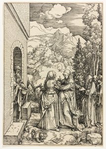 La Visitazione, dalla Vita della Vergine da Albrecht Dürer