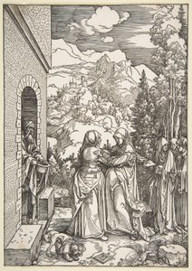  da Albrecht Dürer