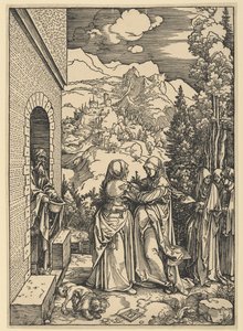  da Albrecht Dürer