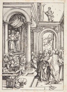 La presentazione della Vergine al tempio da Albrecht Dürer