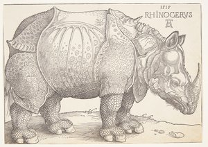 Il rinoceronte