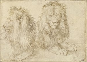 Due leoni seduti, 1521 da Albrecht Dürer