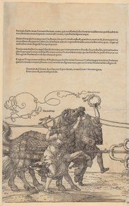  da Albrecht Dürer