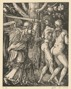 da Albrecht Dürer