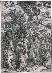  da Albrecht Dürer