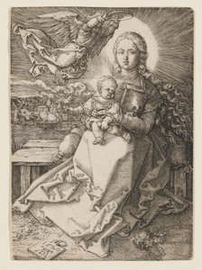  da Albrecht Dürer
