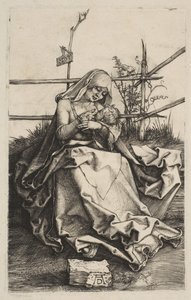 Vergine e Bambino su una panchina erbosa da Albrecht Dürer