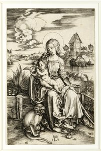 Vergine e Bambino con la scimmia da Albrecht Dürer