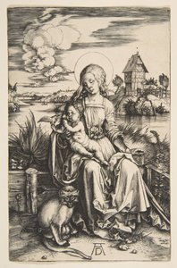  da Albrecht Dürer