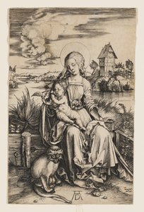  da Albrecht Dürer