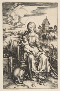 Vergine e Bambino con la scimmia da Albrecht Dürer