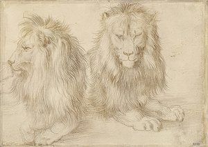 Due leoni sdraiati da Albrecht Dürer