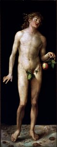  da Albrecht Dürer or Duerer