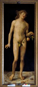 Adamo