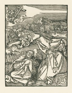Agonia nell