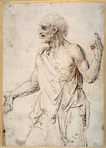 Un vecchio che gesticola da Albrecht Dürer