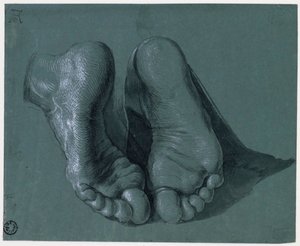 Studio di due piedi - Disegno di Albrecht Durer (1471-1528), acquerello, colore bianco, gesso nero su carta, c1508 (17,6x21,6cm) - Museum Boijmans Van Beuningen, Rotterdam da Albrecht Dürer