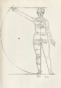 Incisione anatomica femminile da 