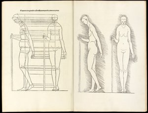 Donna con bastone, xilografia anatomica da Hierinn sind begriffen vier bücher von menschlicher Proportion, 1528 da Albrecht Dürer