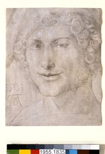 Testa di un giovane uomo