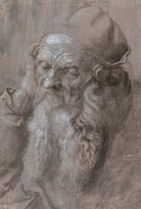 Testa di un vecchio da Albrecht Dürer