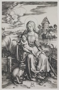 Madonna con la scimmia, 1498 circa (incisione) da Albrecht Dürer or Duerer