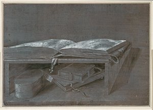 Libro aperto (disegno a pennello su carta marrone) da Albrecht Dürer or Duerer