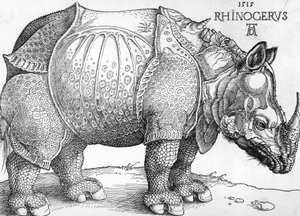 Rinoceronte da Albrecht Dürer