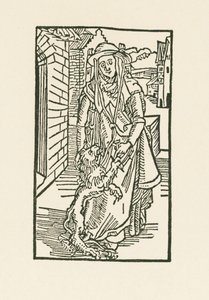 San Girolamo da Albrecht Dürer or Duerer