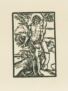 San Sebastiano da Albrecht Dürer or Duerer