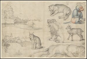 Schizzi di animali e paesaggi da Albrecht Dürer