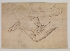 Studio di una gamba sinistra da due punti di vista da Albrecht Dürer