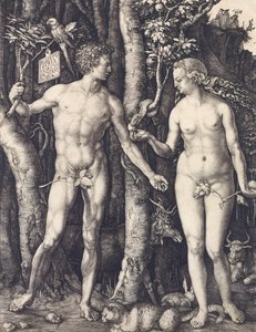 La caduta dell