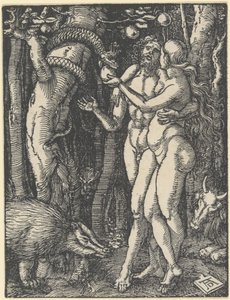 La caduta dell