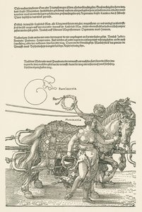 La grande macchina trionfale da Albrecht Dürer or Duerer