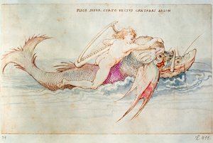 Il poeta greco Arione che cavalca il delfino, 1515 circa (acquerello su carta) da Albrecht Dürer or Duerer