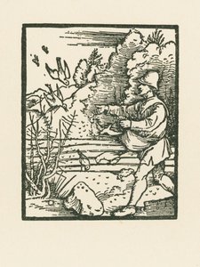 La parabola del seminatore da Albrecht Dürer or Duerer